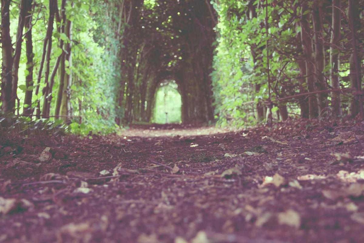 Digital marketing tools and analytics dashboard - Digital Marketing Coaches Hyderabad Guide